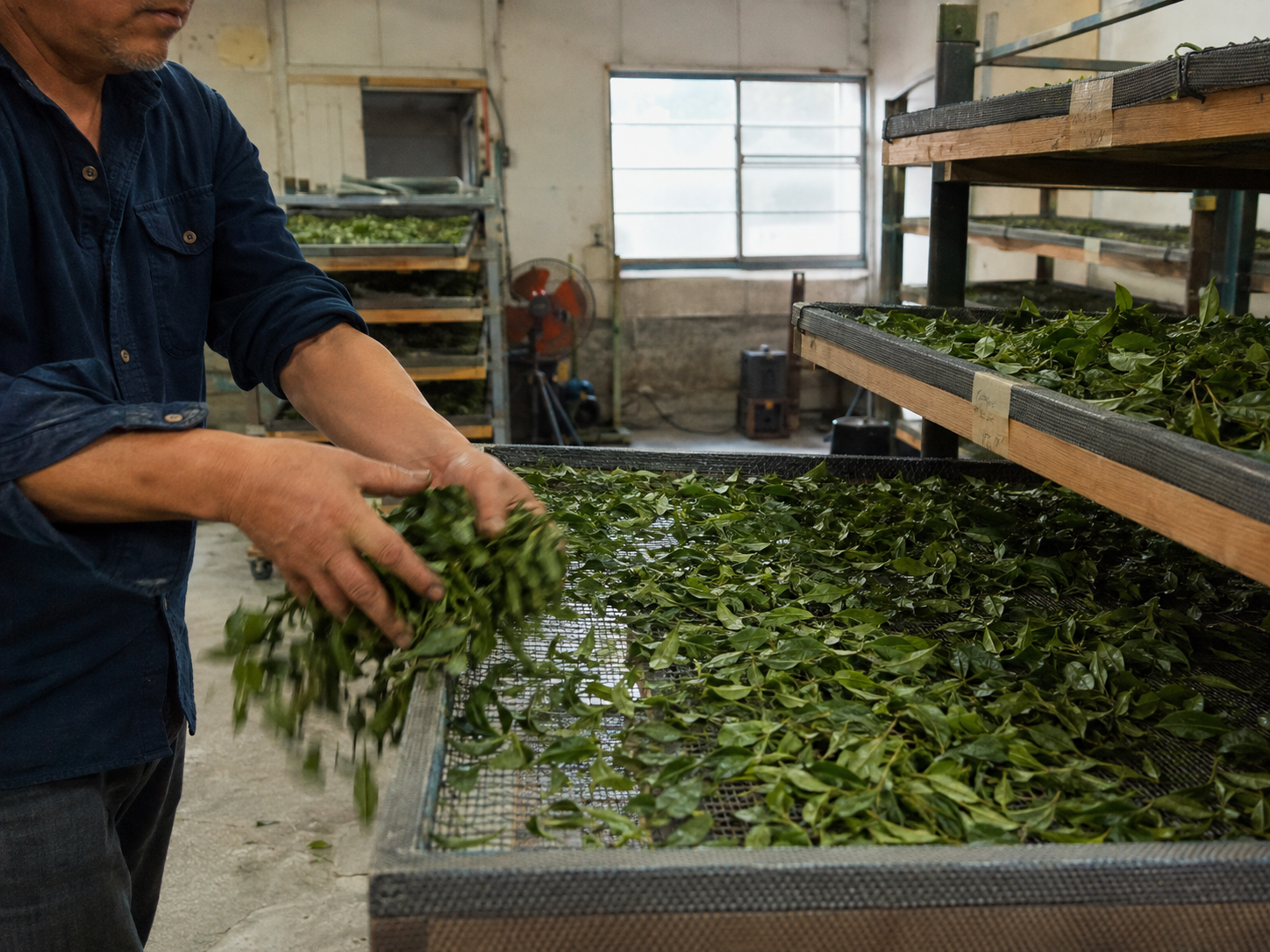 Tea makers at work