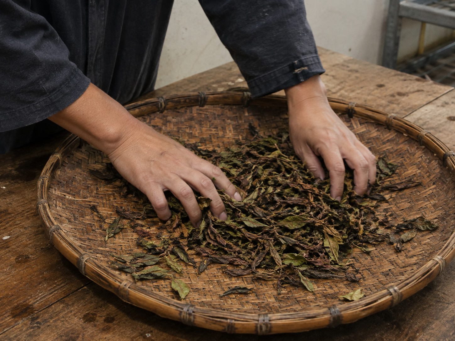 Hand-sorting tea leaves